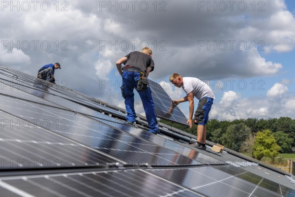 Installation of solar modules on the roof of a barn on a farm, over 210 photovoltaic modules are installed on the roof, North Rhine-Westphalia, Germany, Europe