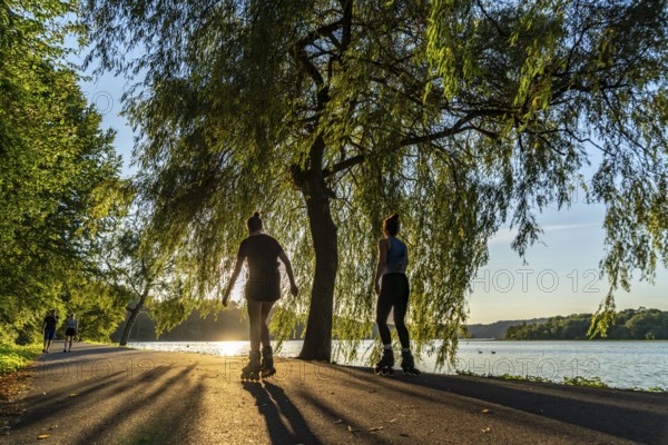 Inline skaters on Lake Baldeney, around 14 kilometres around the Ruhr reservoir, summer evening on the eastern shore, Essen, North Rhine-Westphalia, Germany, Europe