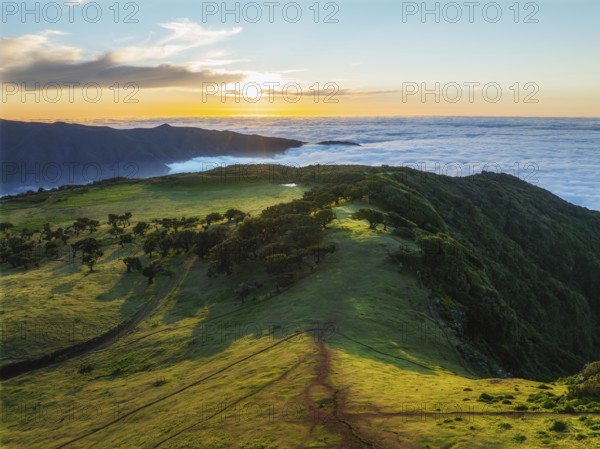 Aerial view of idyllic scenic Fanal Laurisilva forest with centuries-old til trees above clouds on sunset. Madeira island, Portugal, Europe