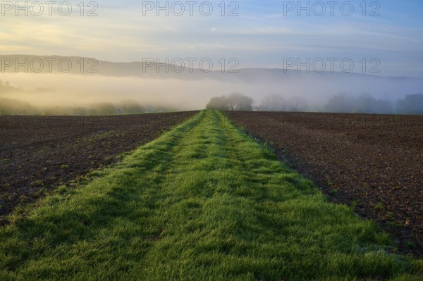A long grassy path leads through a field surrounded by mist and rolling hills, Schmachtenberg, spring, Spessart, Germany, Europe