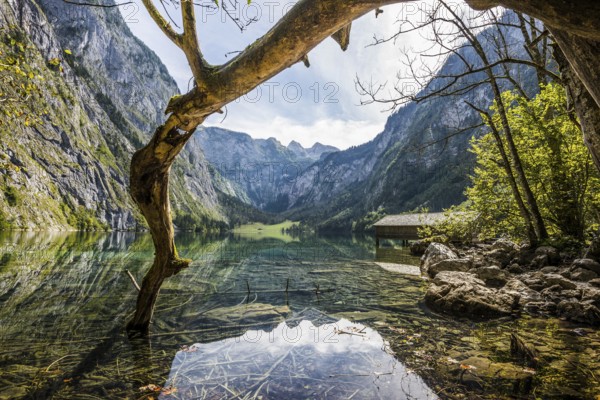 Obersee, Königssee, Schönau, Berchtesgaden National Park, Berchtesgadener Land, Upper Bavaria, Bavaria, Germany, Europe