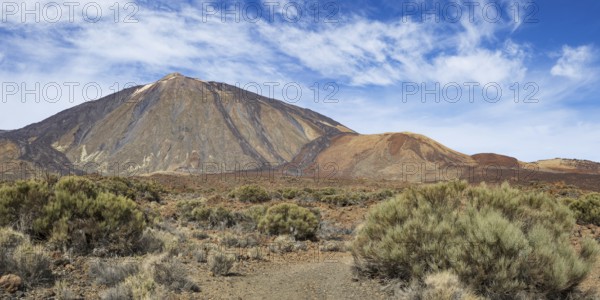 El Teide National Park, behind it the Pico del Teide, 3715m, World Heritage Site, Tenerife, Canary Islands, Spain, Europe