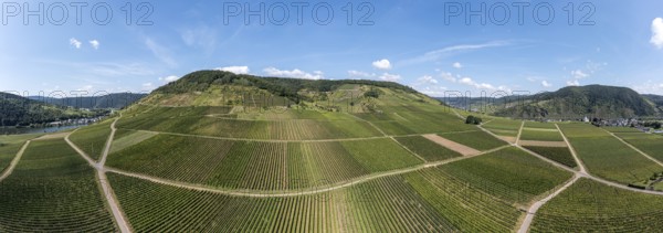 Panoramic aerial view of the vineyards of Ellenz-Poltersdorf at the Moselle river, Germany, Europe