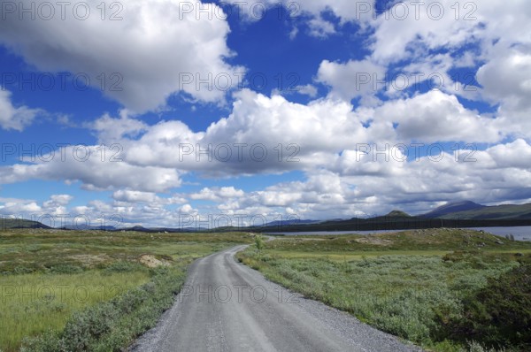 Landscape with a road leading through the fells under a light blue sky with many clouds, Jotunheimvegen, Norway, Europe