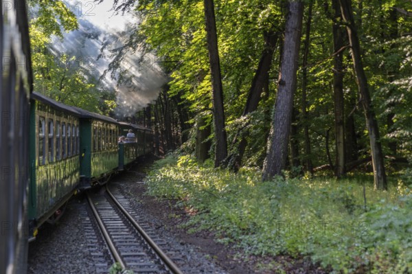 A steaming train travels through a green, shady forest, rays of sunlight penetrate the foliage, Rügen, Rasender Roland