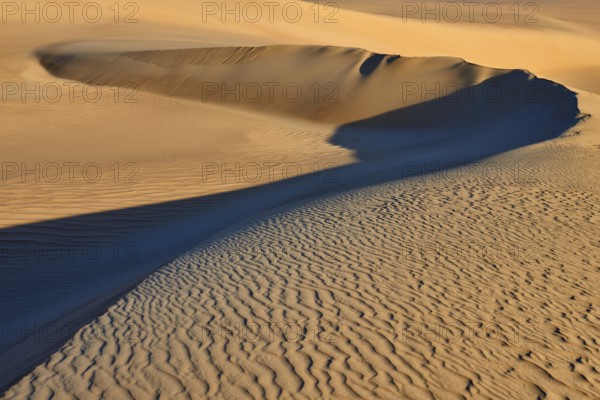 Gently curving sand dune with deep shadows in a vast, tranquil desert landscape, Matruh, Great Sand Sea, Libyan Desert, Sahara, Egypt, North Africa, Africa