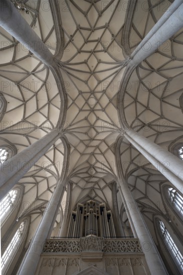 Vaults and organ loft of the late Gothic church of St George, built between 1427 and 1505, church, Nördlingen, Bavaria, Germany, Europe