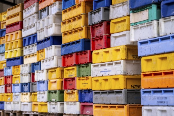 The town harbour of Sassnitz, island of Rügen, boxes of fish waiting for the new catch, at the fishing harbour, Mecklenburg-Vorpommern, Germany, Europe