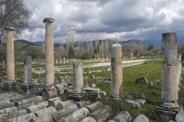 Excavation site site of the ancient city of Aphrodisias, today's city of Geyre, Karacasu, Aydin, Western Turkey, Turkey, Asia