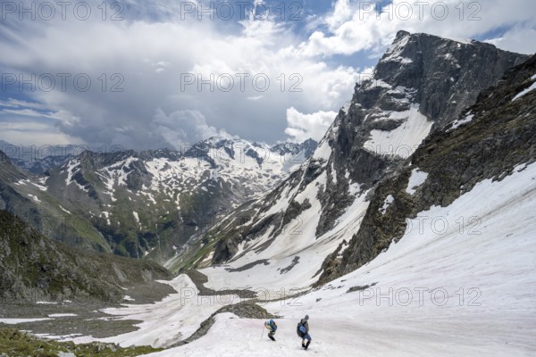 Mountaineers hiking in a snowfield, Nördliche Mörchnerscharte, behind mountain peak Greizer Spitze with snow, Berliner Höhenweg, Zillertal Alps, Tyrol, Austria, Europe
