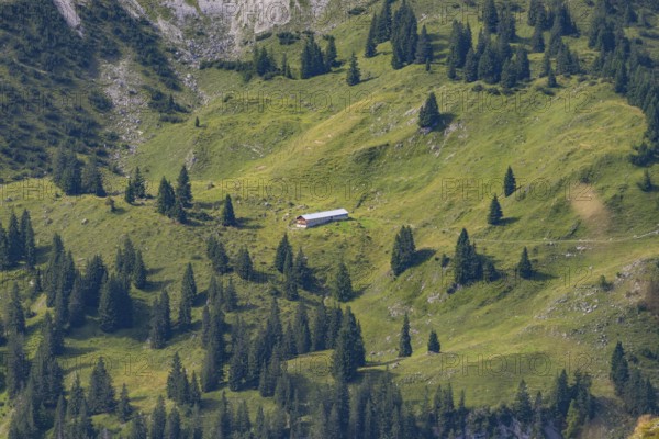 Obere Lugen Alpe in the Oytal valley below the Hahnenköpfl, Allgäu Alps, Allgäu, Bavaria, Germany, Europe