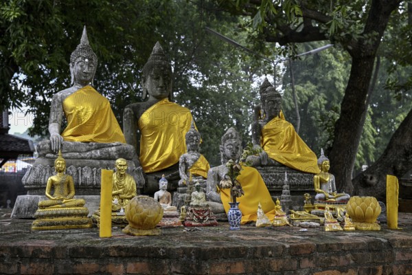 Buddha statues in Wat Yai Chai Mongkhon, Buddhist temple, Ayutthaya, Ayutthaya province, Thailand, Asia