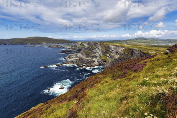 Rugged cliffs on the Atlantic, Kerry Cliffs, Skellig Ring scenic road, Portmagee, Iveragh Peninsula, County Kerry, Wild Atlantic Way, Ireland, Europe