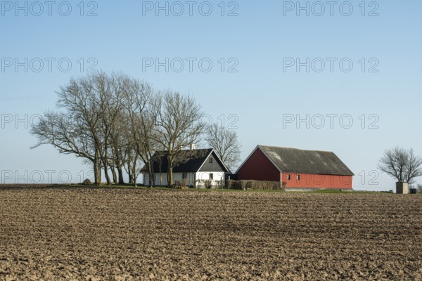 Small farm in springtime in Ystad Municipality, Skåne County, Sweden, Scandinavia, Europe