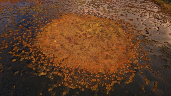 Moor, autumn, intense colouring, drone shot, without horizon, Lapland, Northern Finland, Finland, Europe