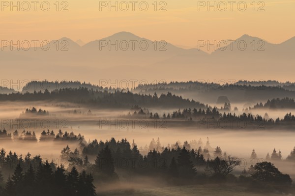 Foggy mood, morning light, mountain landscape, autumn, Alpine foothills, view of the Bavarian Alps, Bavaria, Germany, Europe