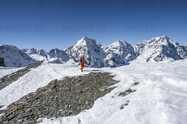 Ski tourers on foot, snow-covered mountain landscape in winter, view of mountain peaks Königsspitze, Monte Zebru and Ortler, Ortler Alps, Vinschgau Valley, Italy, Europe