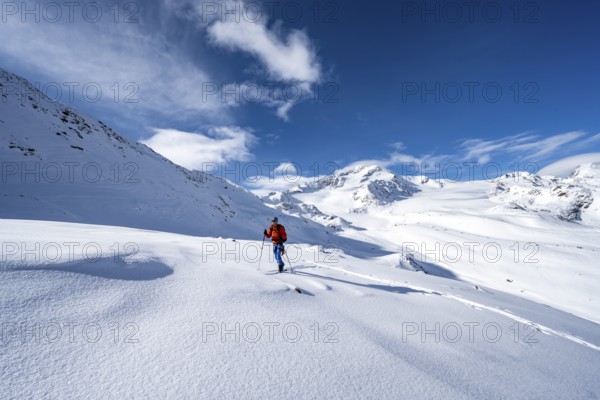 Ski tourers in a snow-covered mountain landscape, mountain peak Monte Cevedale and glacier Zufallferner, ascent to the summit Köllkuppe or Cima Marmota, Ortler Alps, Vinschgau Valley, Italy, Europe