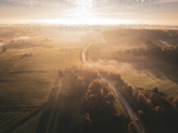 Landscape with a road through fields at sunrise, shrouded in fog and warm colours, Gechingen, Black Forest, Germany, Europe
