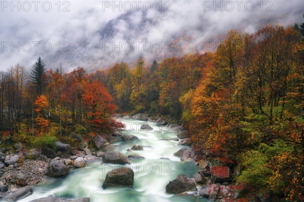 Verzasca river lined with autumn-coloured deciduous trees, rainy and foggy Verzasca valley, Canton Ticino, Switzerland, Europe
