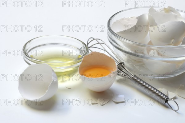 Opened hen's egg, egg white in shell and eggshells
