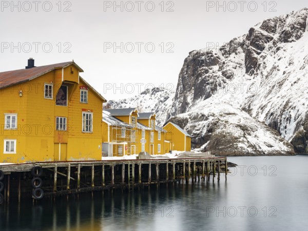 Yellow houses on stilts in the harbour of the authentic fishing village of Nusfjord, snow-capped mountains in the background, Flakstadøya, Lofoten, Norway, Europe
