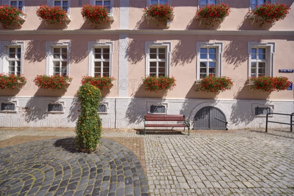 Facade of a light beige-coloured house with windows and flower boxes with blooming geraniums in the city centre of Michelstadt, Odenwald, Odenwaldkreis, Hesse, Germany, Europe