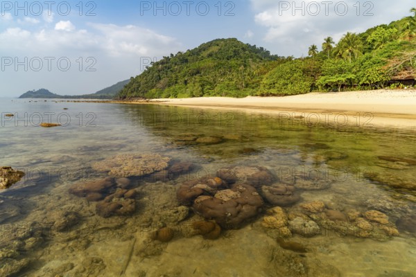 Corals at Haad Lang Khao beach on the island of Koh Libong in the Andaman Sea, Thailand, Asia