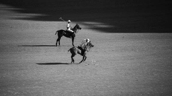 Scene from the 131st Argentine Open Polo Championship (Spanish: Campeonato Argentino Abierto de Polo), the most important international polo tournament, players of the La Hache Polo Team, black and white, Palermo, Buenos Aires, Argentina, South America