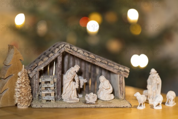 Stable with the Holy Family, shepherd and sheep come to the cot, nativity scene scene, Christmas tree in the background