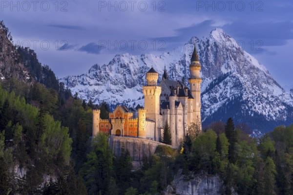 Neuschwanstein Castle near Füssen, Schwangau, Allgäu Alps, night shot, illuminated, snow, East Allgäu, Bavaria, Germany, Europe
