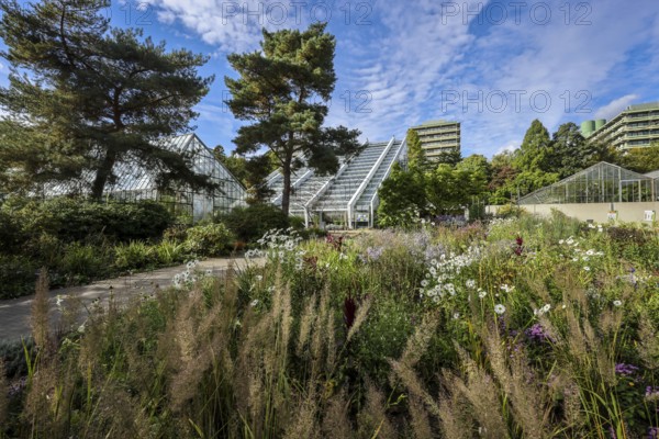 Bochum, North Rhine-Westphalia, Germany - Blooming flower-bed in the flower bed in front of the Tropical House, Botanical Garden of the Ruhr-University Bochum. University building in the background. As part of the Ruhr University Bochum, the botanical garden is primarily used for research and teaching, but also for education and public recreation