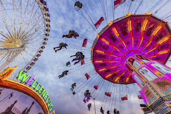 Chain carousel and Ferris wheel in the evening. 177th Cannstatter Volksfest at the Cannstatter Wasen. Bad Cannstatt, Stuttgart, Baden-Württemberg, Germany, Europe