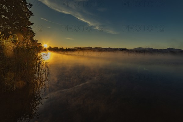 Autumnal morning atmosphere at Schmutter Weiher with fog near Lechbruck, Halblech and Roßhaupten in Allgäu, Bavaria, Germany, Europe