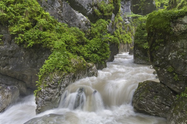 The river Weißbach running through the Seisenbergklamm, Seisenbachklamm, gorge near Weißbach bei Lofer, Saalachtal, Salzburg, Salzburger Land, Austria, Europe