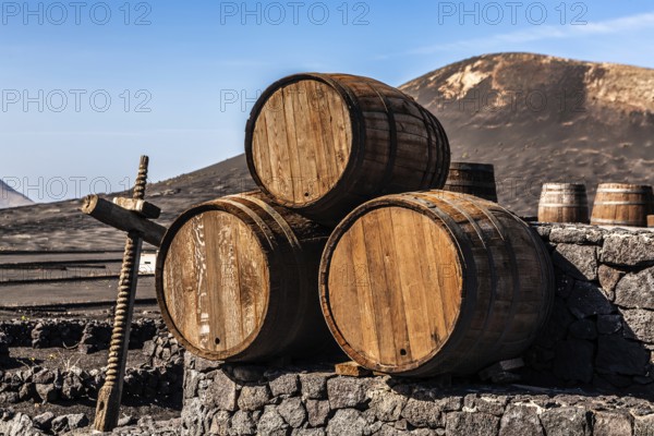2016, La Geria, Lanzarote, La Geria, ESP, Spain, Canary Islands, Canary Islands, Atlantic Ocean, Lanzarote, biosphere reserve, volcano, volcanism, volcanic island, island, wine-growing area, wine, nature reserve, recording date, Europe