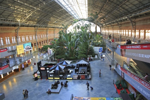 Tropical rainforest plants growing in garden inside Atocha railway station, Madrid, Spain, Europe