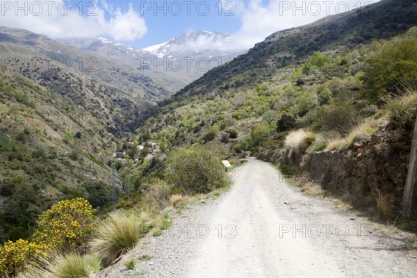 Landscape of the River Rio Poqueira gorge valley, High Alpujarras, Sierra Nevada, Granada Province, Spain, Europe