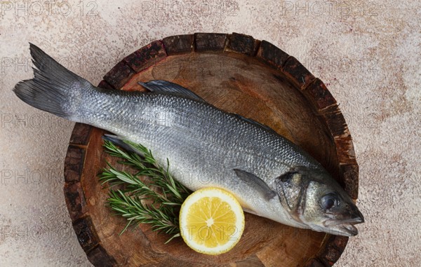 Fresh, raw sea bass fish, in a wooden plate, top view, no people