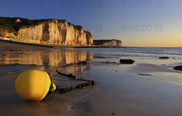 Chalk cliffs of the Alabaster Coast in the evening light, in front a yellow buoy on the beach at low tide, Côte d'Albâtre, Les Petites Dalles, Normandy, France, Europe
