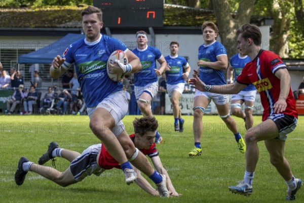 Heidelberg, 25.05.2024, Rugby 1st Bundesliga, Season 2023/24, Quarter-final: SC Neuenheim against Germania List (82:0)
