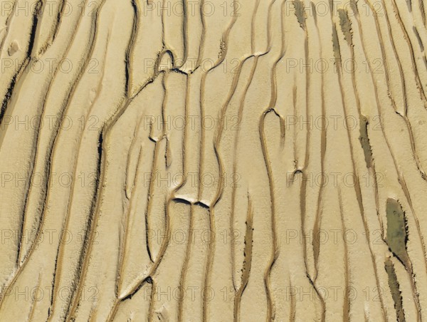 Network of channels and streams at low tide. In the marshland adjacent to the Odiel river. Aerial view. Drone shot. Huelva province, Andalusia, Spain, Europe