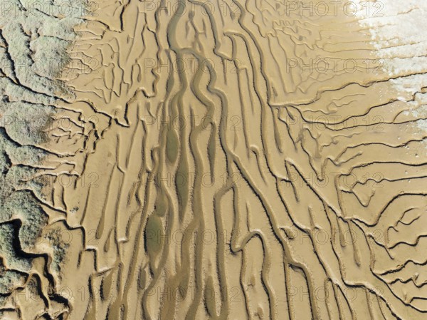 Network of channels and streams at low tide. In the marshland adjacent to the Odiel river. Aerial view. Drone shot. Huelva province, Andalusia, Spain, Europe