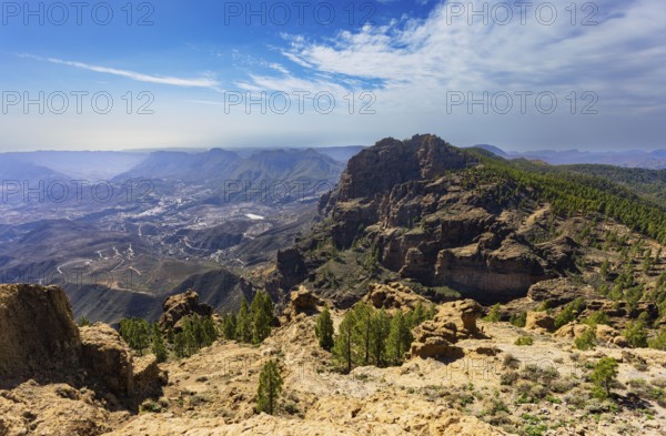 View into the valley of the Caldera de Tirajana, pine forest around the summit of El Campanario, Gran Canaria, Canary Islands, Spain, Europe