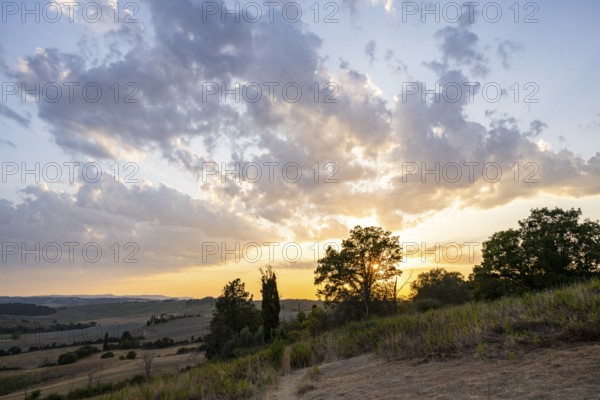 Typical Tuscan landscape in Val d'Orcia with hills, trees, fields, cypresses and farm road in autumn, sunset, gladiator film location, San Quirico d'Orcia, Val d'Orcia, Orcia Valley, UNESCO World Heritage Site, Siena Province, Tuscany, Italy, Europe
