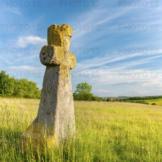 Medieval stone cross, murder cross, atonement cross, Freyburg (Unstrut), Saxony-Anhalt, Germany, Europe