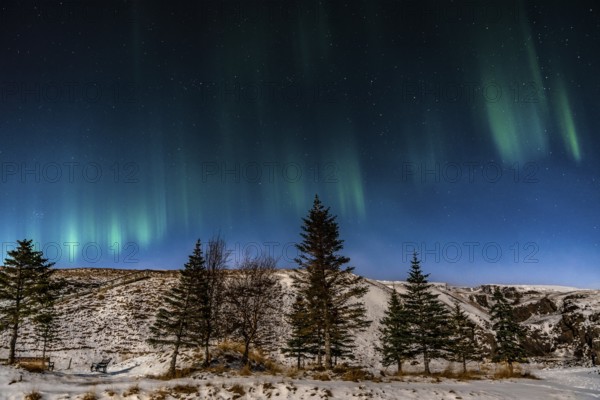 Beautiful image of a vibrant green and multi-colored Aurora Borealis, Aurora Polaris, also known as the Northern Lights in the night sky over Iceland
