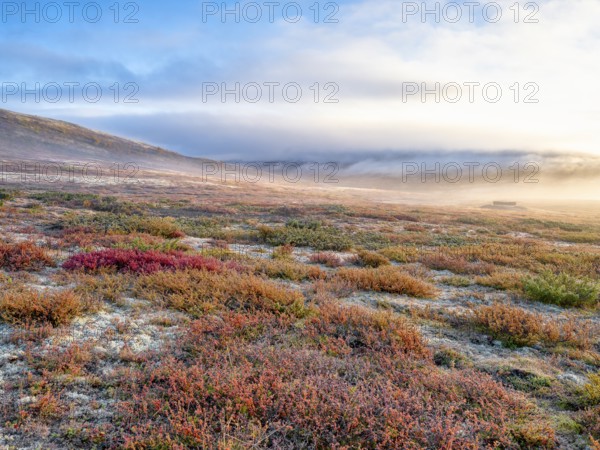 Dovrefjell National Park in autumn, the first rays of sunshine, mountains and fog, frost, Oppdal, Norway, Europe