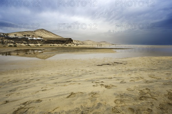 Playa Risco del Paso beach, Playa de Sotavento, Pajara, Fuerteventura, Canary Islands, Spain, Europe