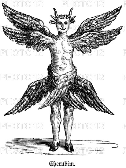 The cherubim unite four beings, lion and bull, eagle and man, Bible, they are keepers of the garden and witnesses of the glory of God, historical illustration, Biblisches Handwörterbuch 1862
